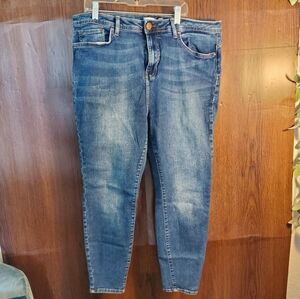 Forever 21 Plus Medium Wash Skinny Jeans